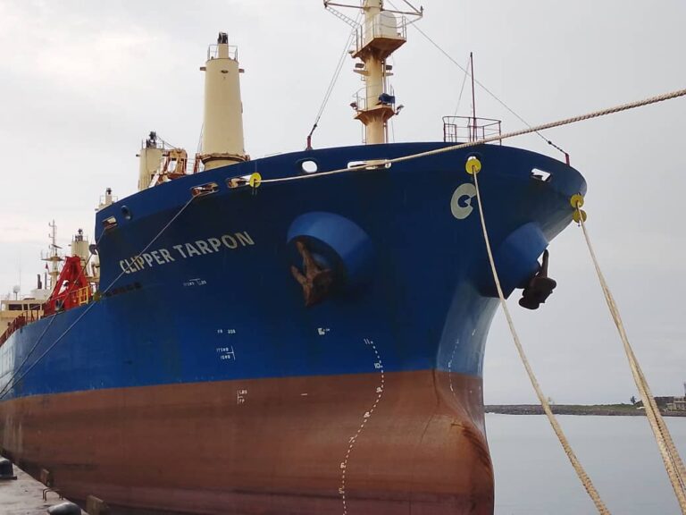 Press Releases and Articles