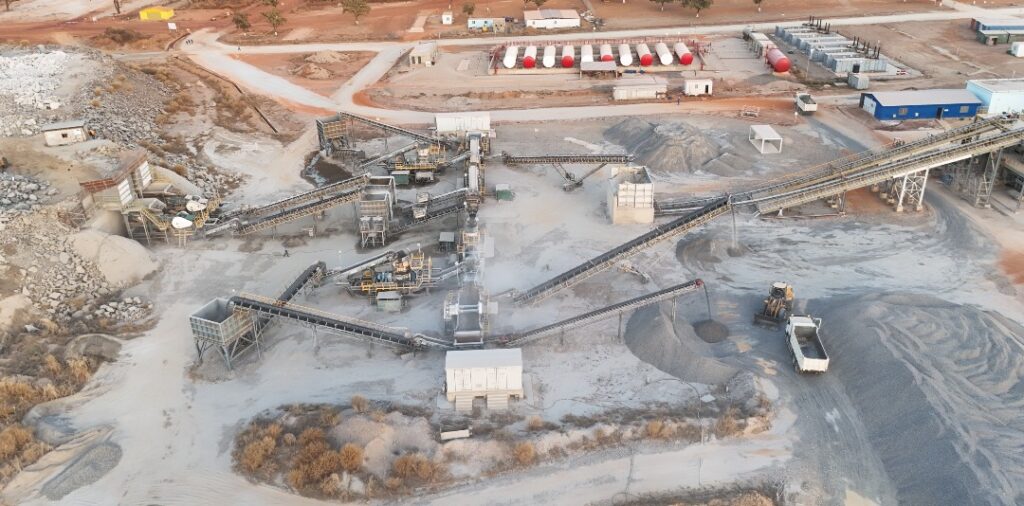 Our purpose and business model